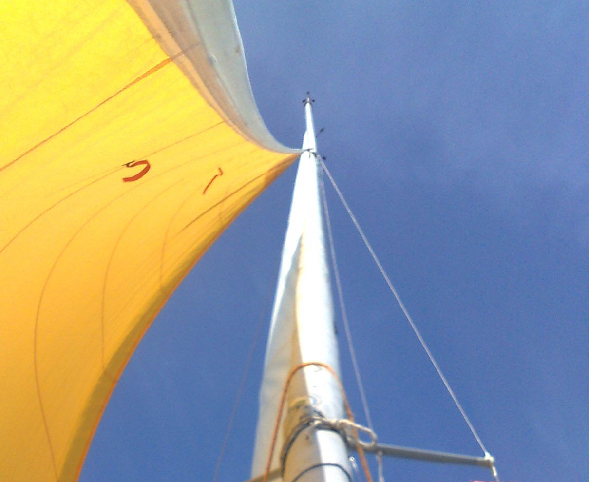 [Immagine: 20098118755_caten 1.jpg]